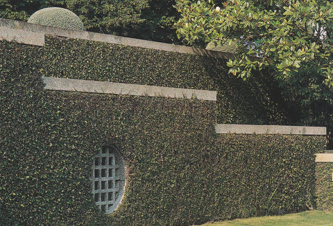 POSTAL B10303: PORTUGAL: FUNDACION DE SERRALVES. DIVERSOS ASPECTOS