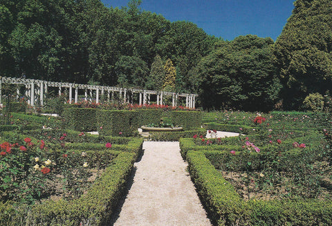 POSTAL B10305: PORTUGAL: FUNDACION DE SERRALVES. DIVERSOS ASPECTOS