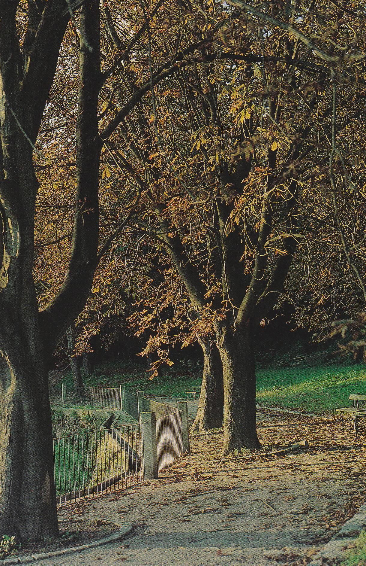 POSTAL B10306: PORTUGAL: FUNDACION DE SERRALVES. DIVERSOS ASPECTOS