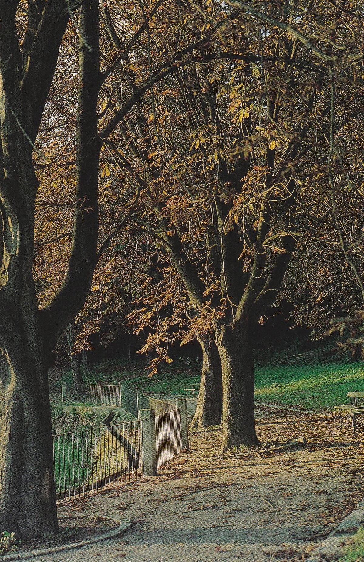 POSTAL B10306: PORTUGAL: FUNDACION DE SERRALVES. DIVERSOS ASPECTOS