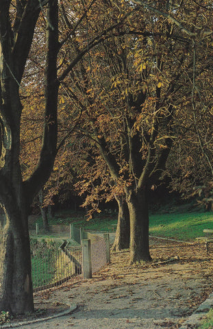POSTAL B10306: PORTUGAL: FUNDACION DE SERRALVES. DIVERSOS ASPECTOS
