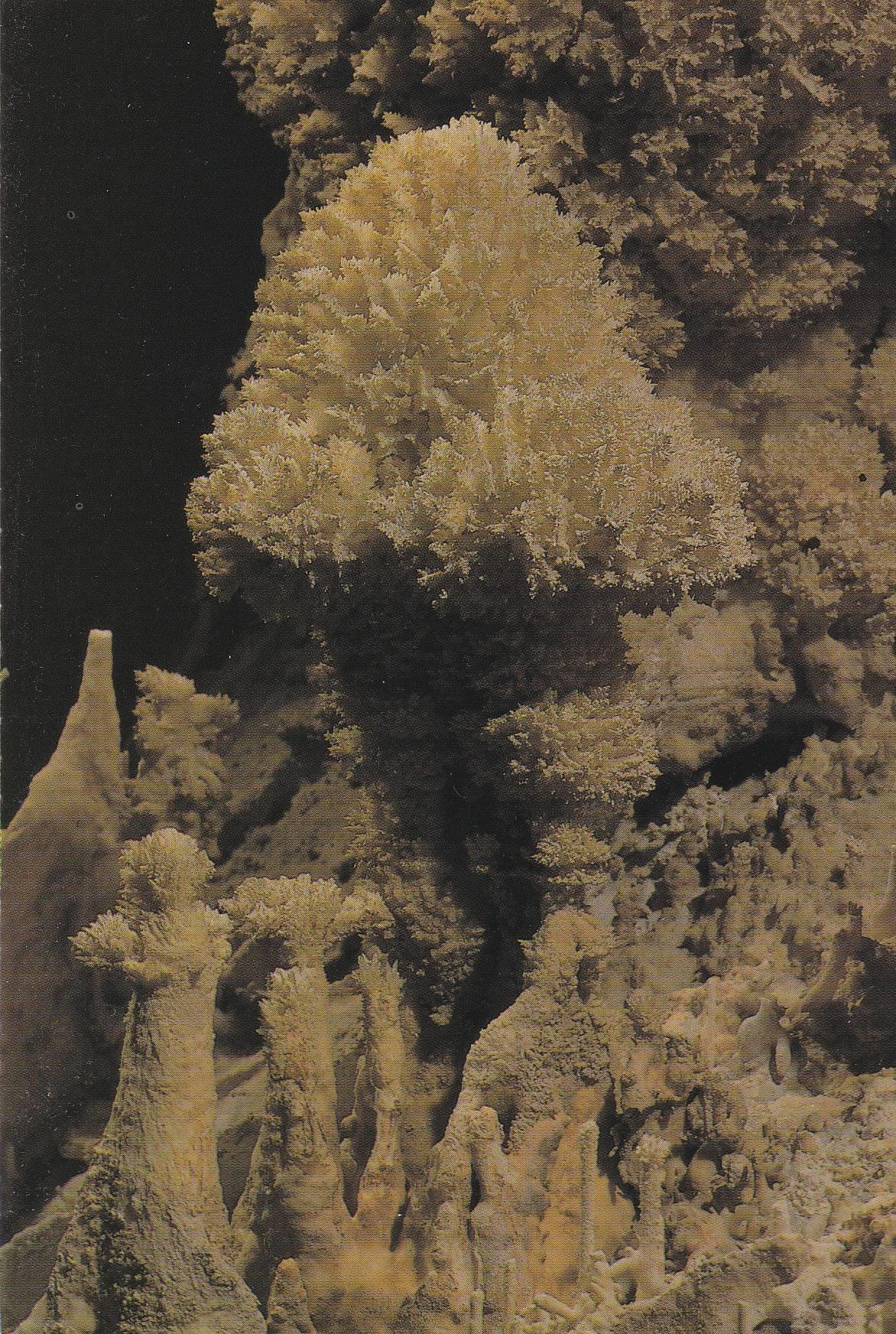 POSTAL B10331: MALAGA: CUEVA DE NERJA. DIVERSOS ASPECTOS