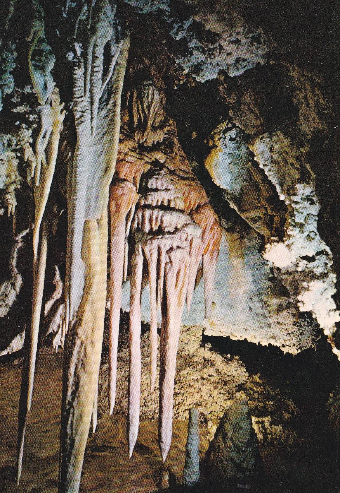 POSTAL B10342: MALLORCA: CUEVA DE GENOVA