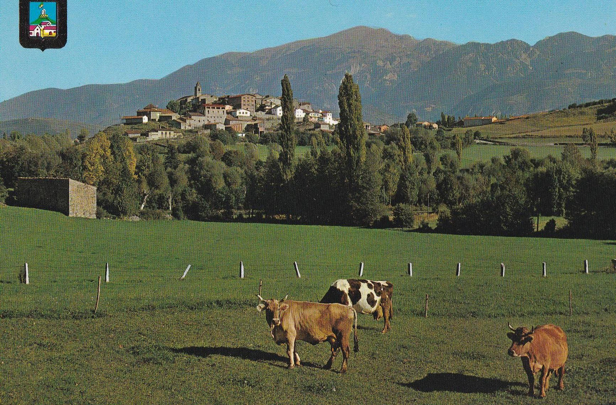 POSTAL B10463: PIRINEOS ORIENTALES: BELLVER DE CERDANYA