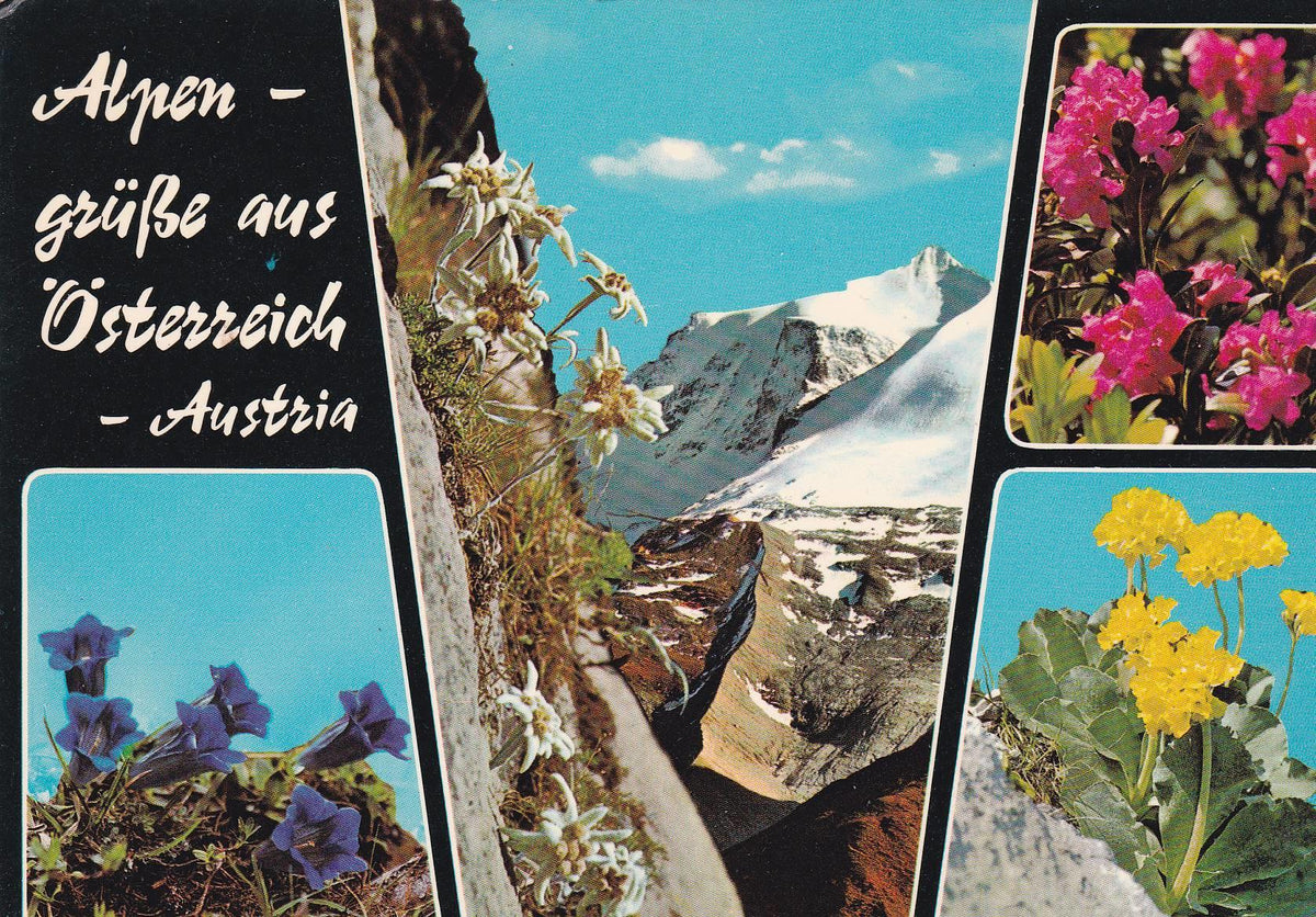 POSTAL B10487: VIENA: DIVERSOS ASPECTOS