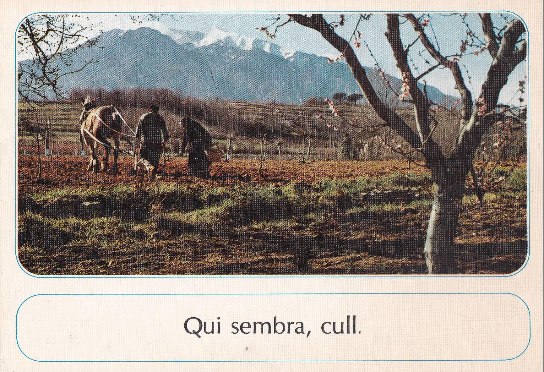 POSTAL B10519: POSTAL AGRARIA: QUI SEMBRA CULL