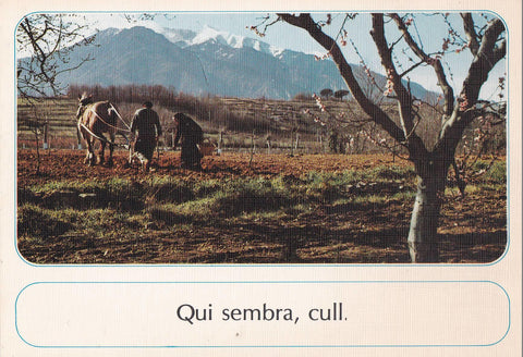 POSTAL B10519: POSTAL AGRARIA: QUI SEMBRA CULL