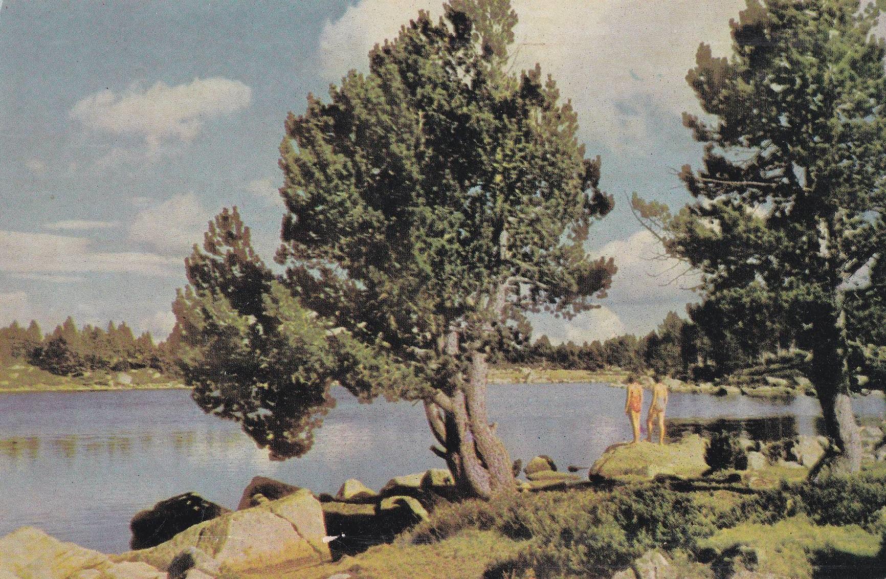 POSTAL B10561: PIRINEOS ORIENTALES: LA CERDANYA