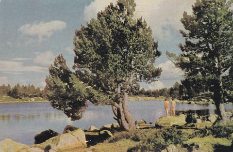 POSTAL B10561: PIRINEOS ORIENTALES: LA CERDANYA