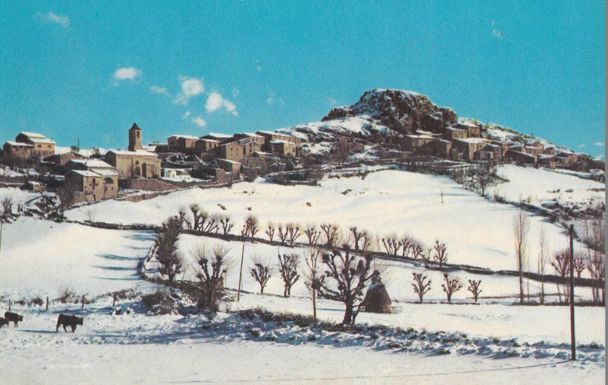 POSTAL B10562: PIRINEOS CENTRALES: DIVERSOS ASPECTOS