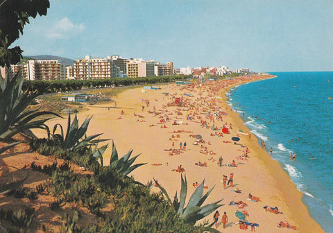 POSTAL B10564: CALELLA DE MAR: PLAYA TIPICA