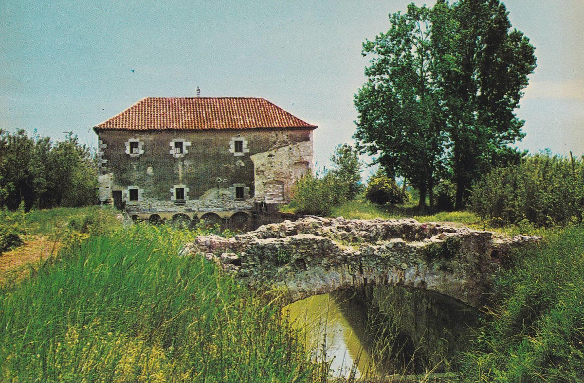 POSTAL B10571: GERONA: ARMENTERA