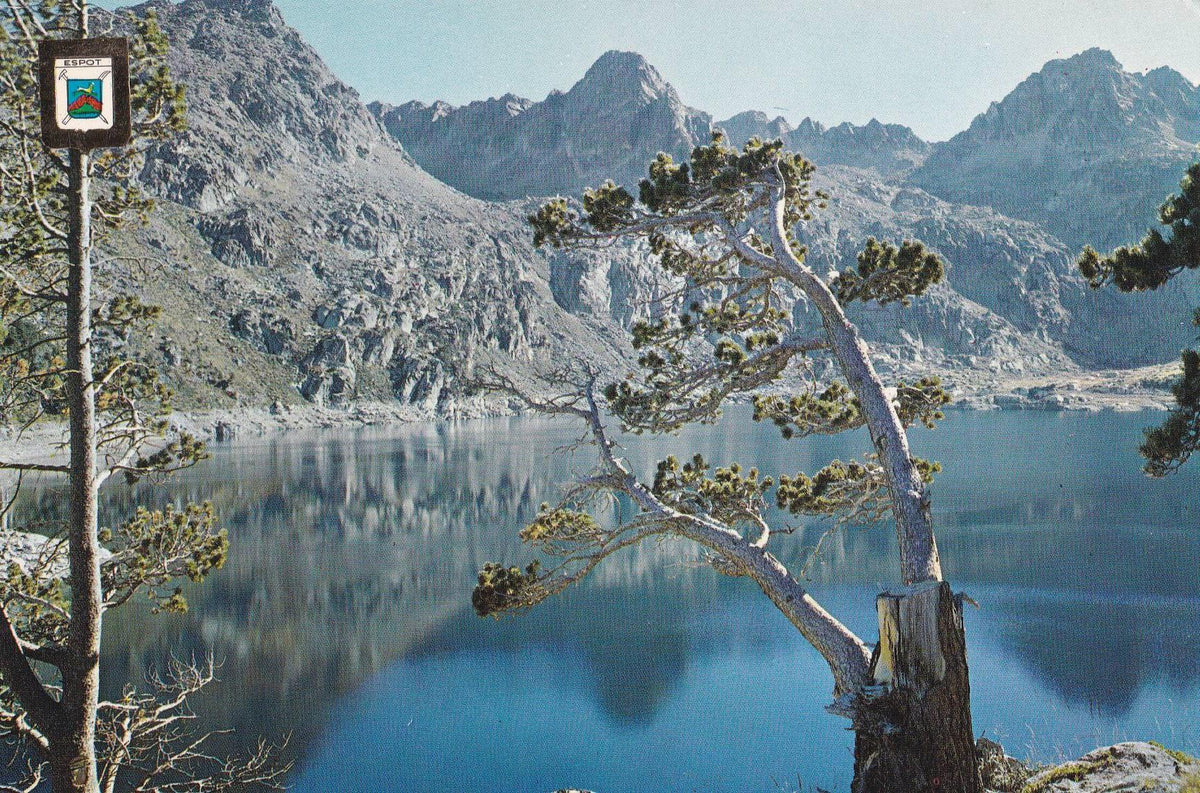POSTAL B10599: LLEIDA: VALL D ESPOT