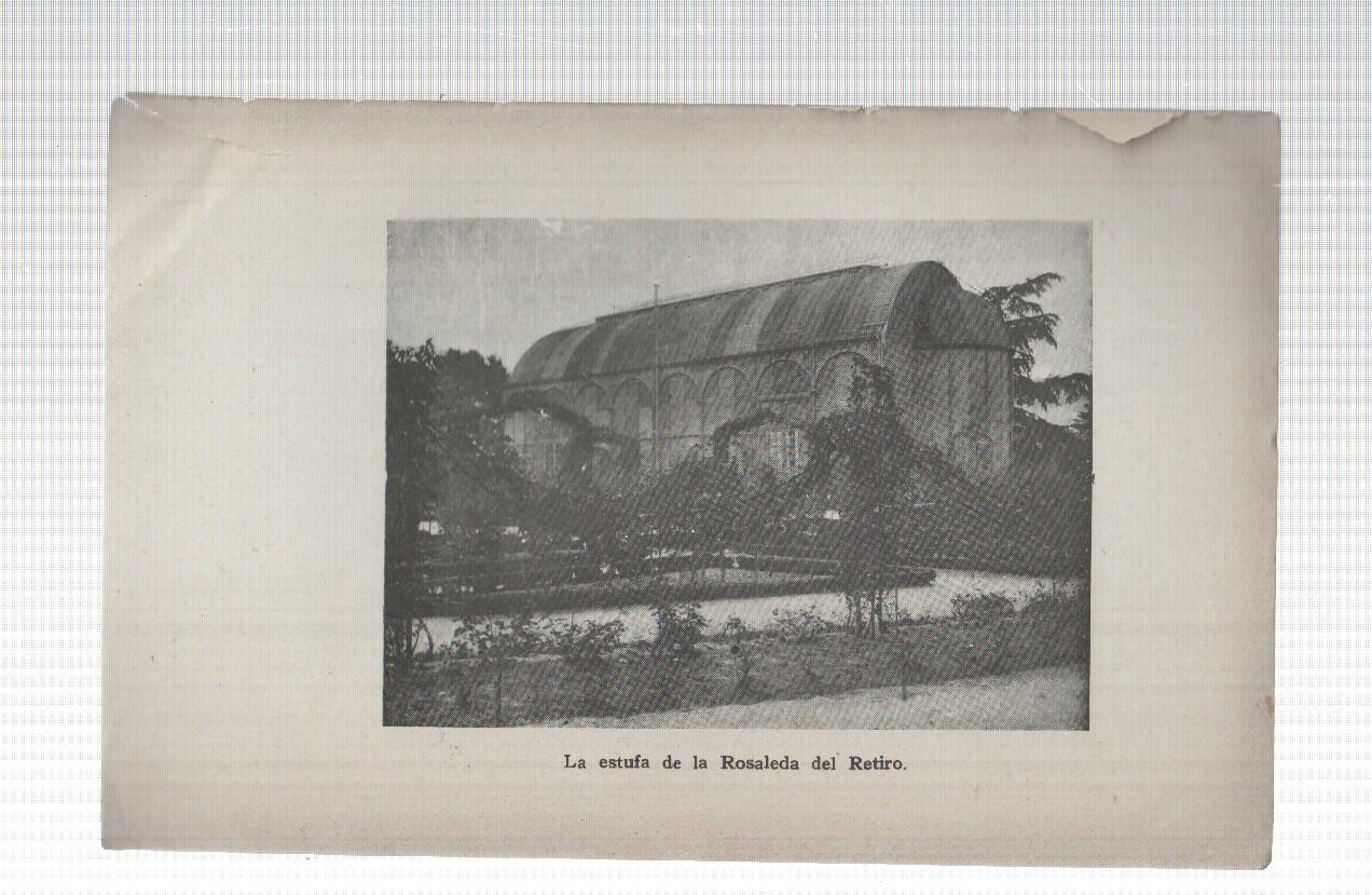 Lamina de la obra Don Jose de Salamanca: La estufa de la rosaleda del retiro en Madrid