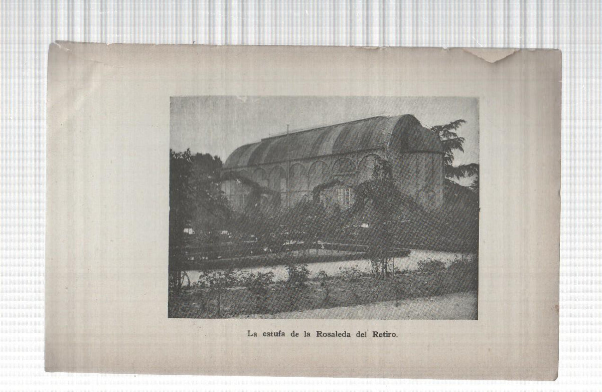 Lamina de la obra Don Jose de Salamanca: La estufa de la rosaleda del retiro en Madrid