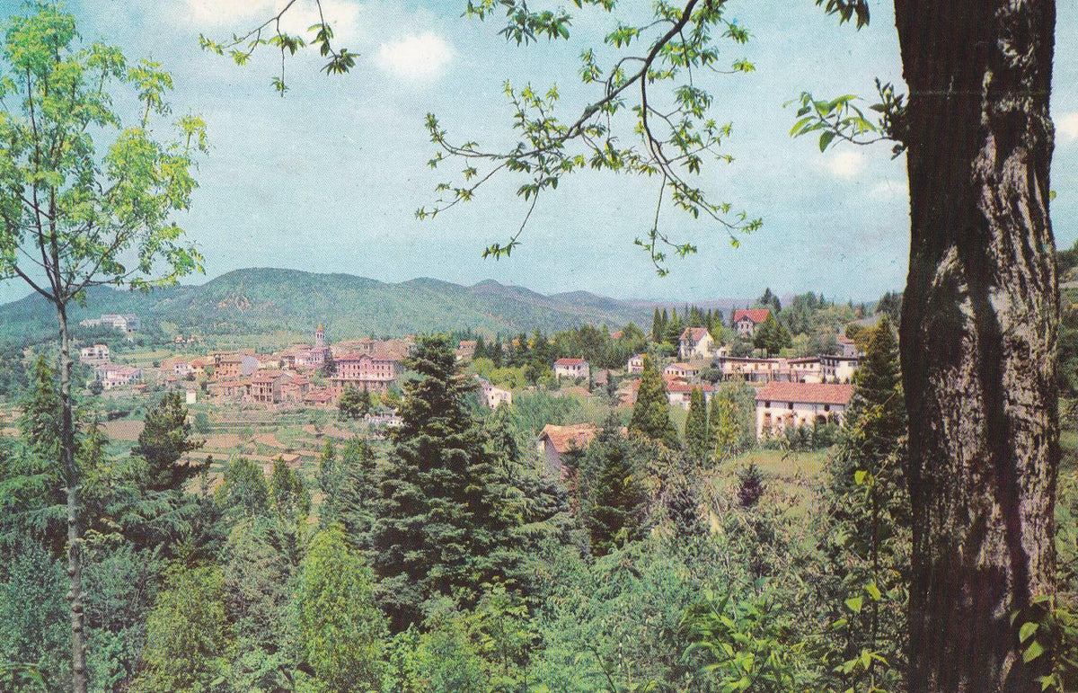 POSTAL B10611: VILADRAU: VISTA GENERAL