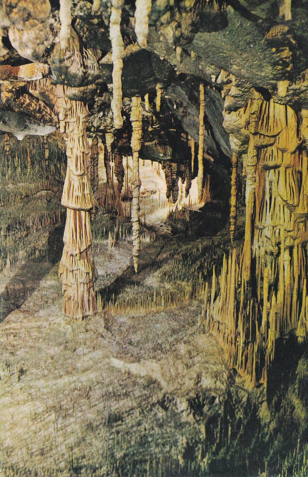 POSTAL B10634: MALLORCA: CUEVAS DEL DRACH