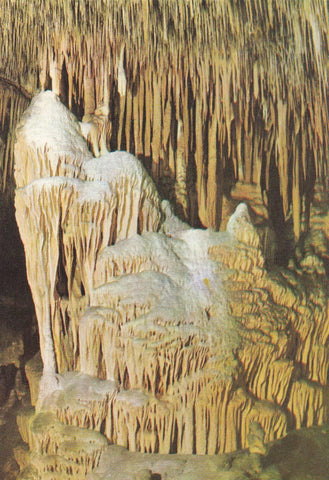 POSTAL B10637: MALLORCA: CUEVAS DEL DRACH