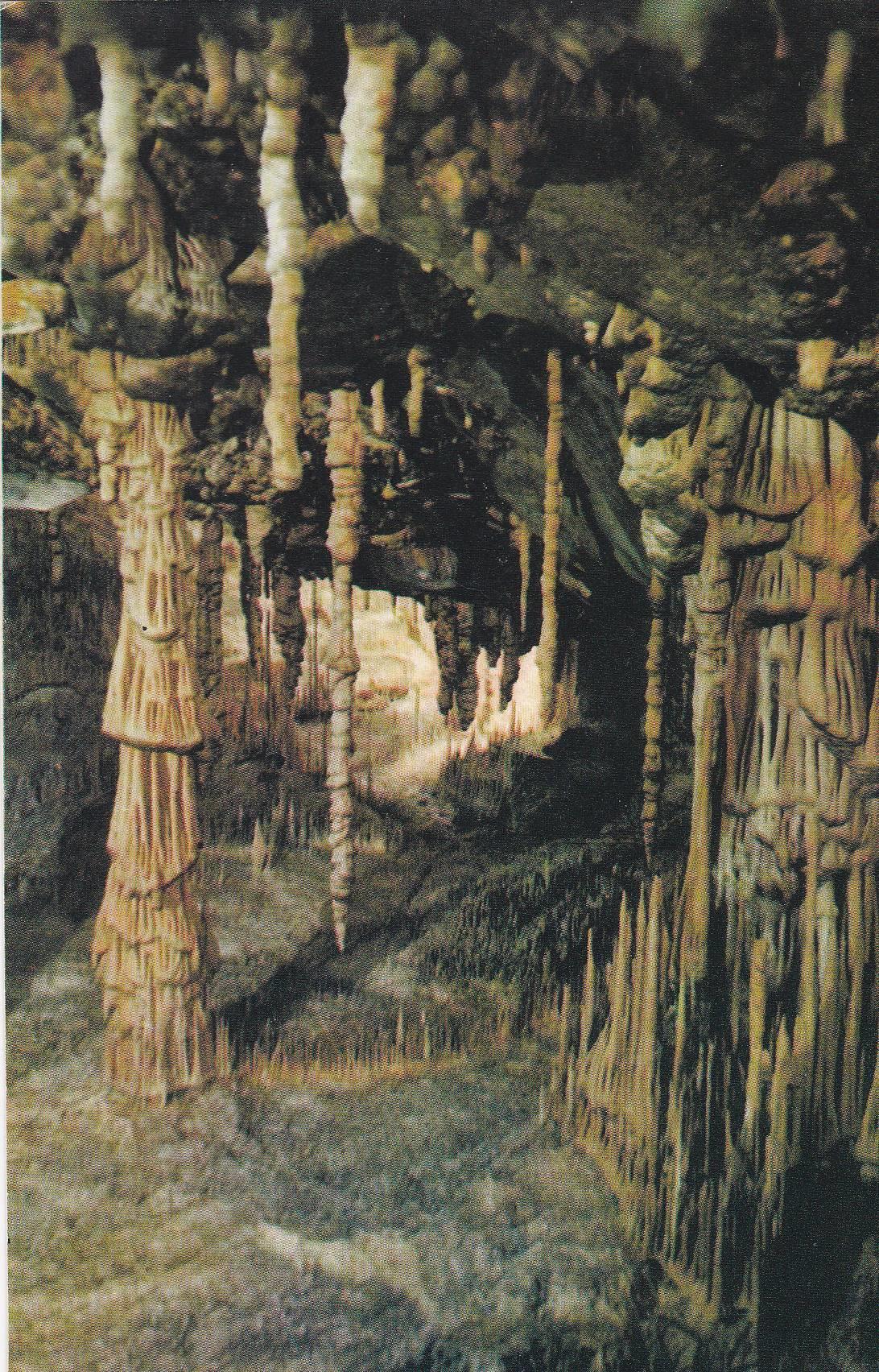POSTAL B10644: MALLORCA: CUEVAS DEL DRACH