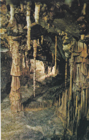 POSTAL B10644: MALLORCA: CUEVAS DEL DRACH