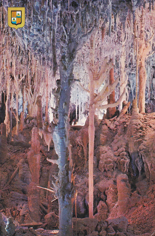 POSTAL B10649: MALLORCA: CUEVAS DELS HANS