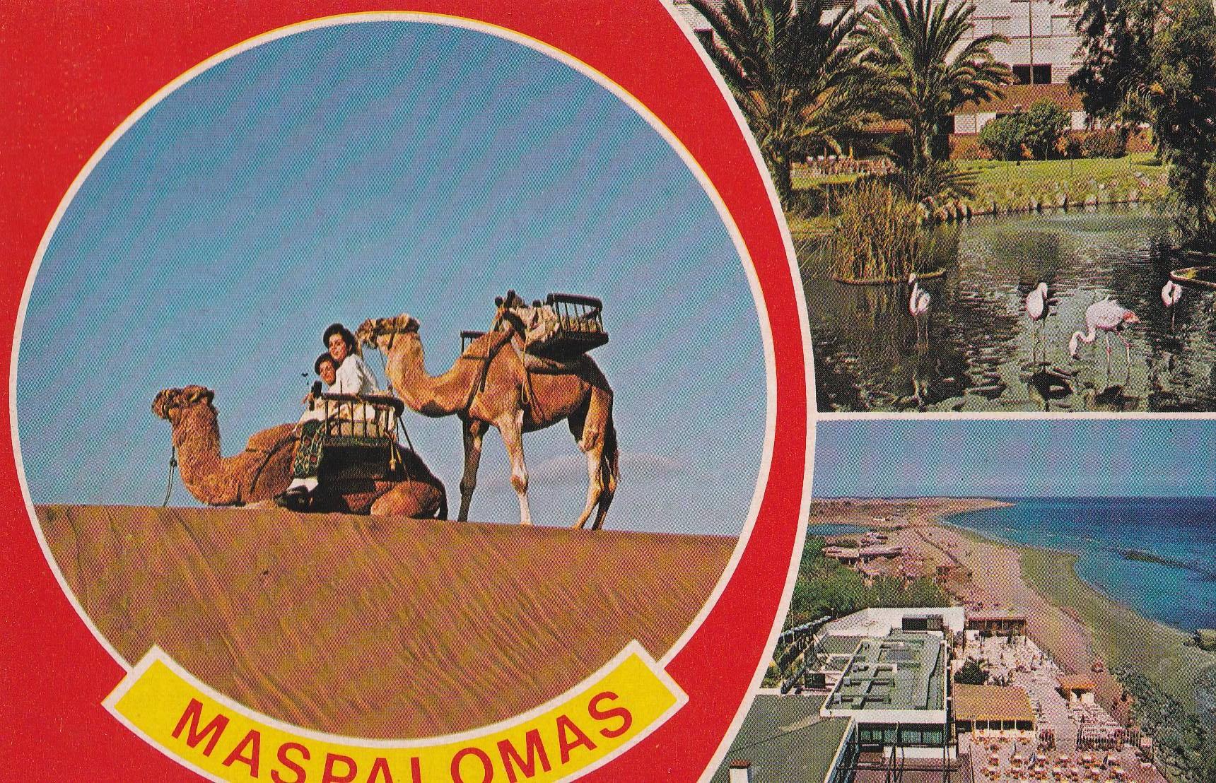 POSTAL B10710: GRAN PALOMAS: DIVERSOS ASPECTOS