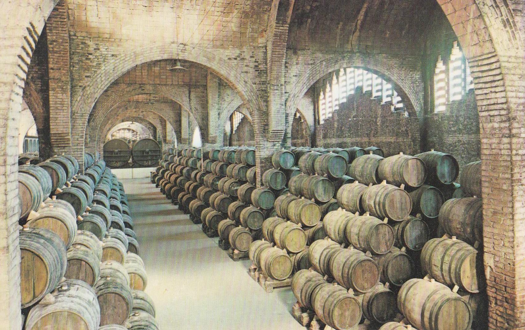 POSTAL B10716: CAVAS CODORNIU: BODEGA