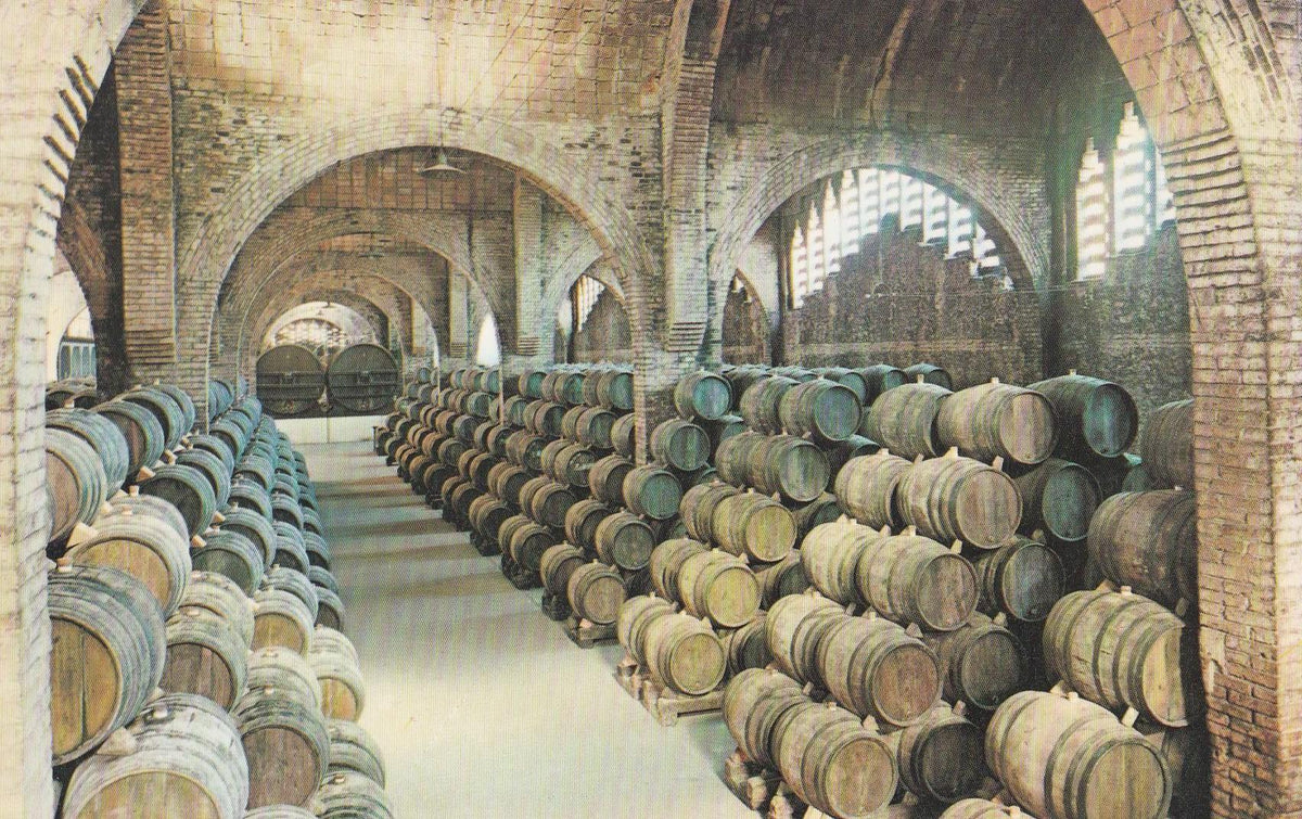 POSTAL B10716: CAVAS CODORNIU: BODEGA