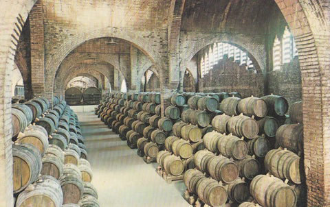 POSTAL B10716: CAVAS CODORNIU: BODEGA