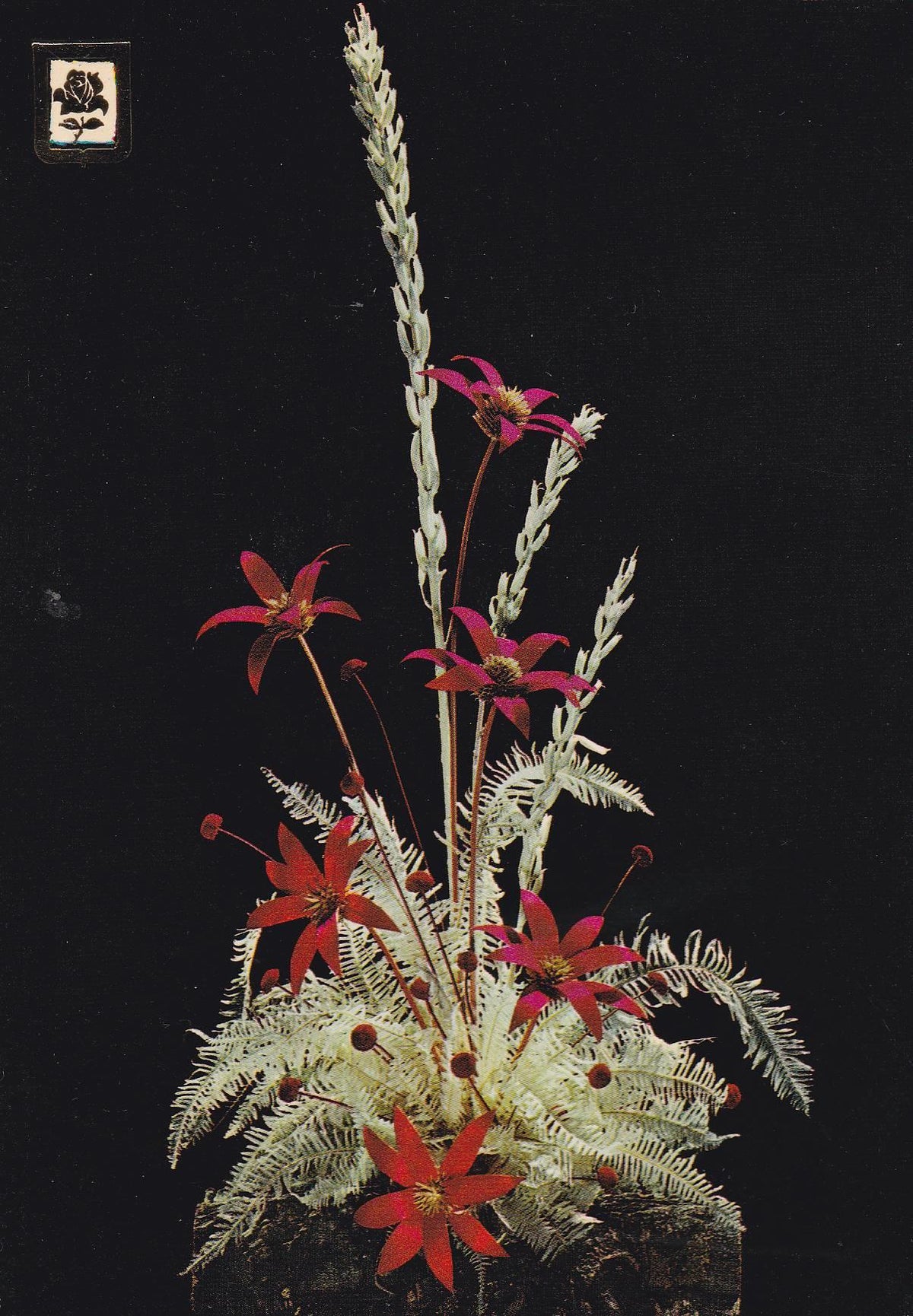 POSTAL B10858: COLECCION FLORES. SERIE 0: DIVERSOS ASPECTOS