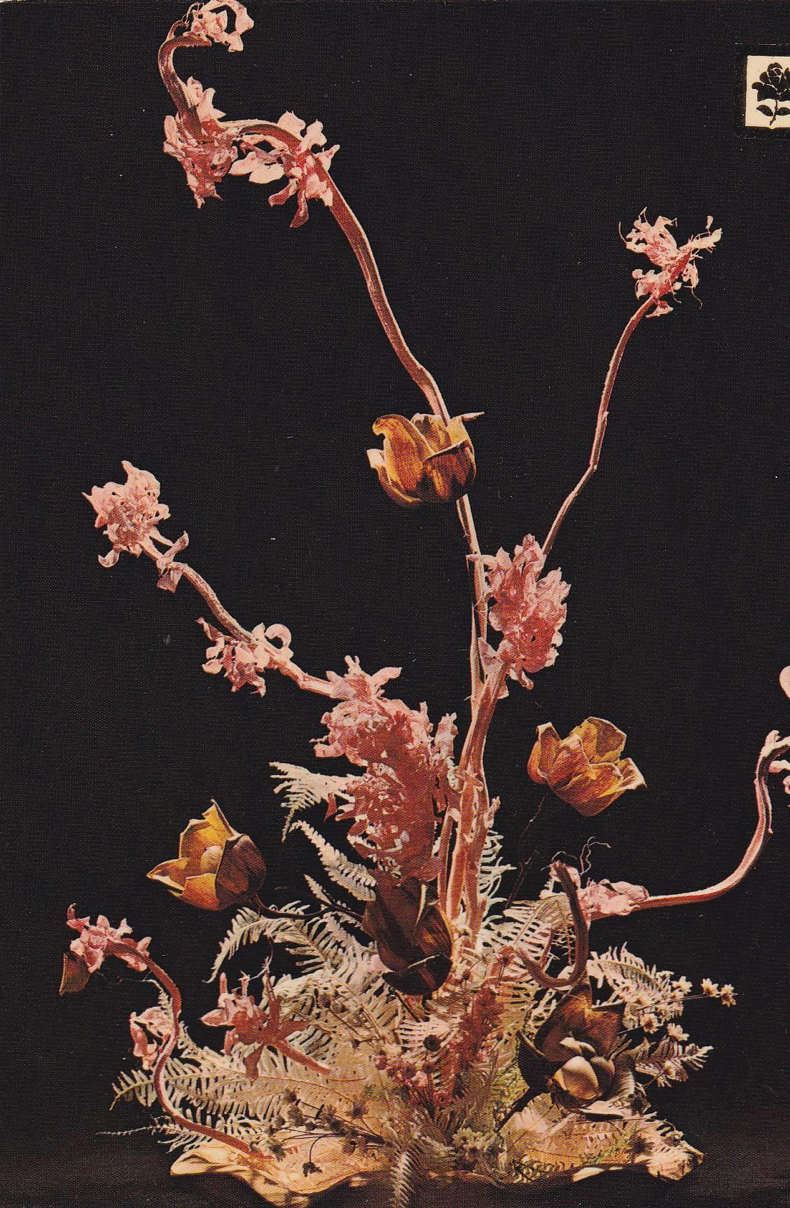 POSTAL B10859: COLECCION FLORES. SERIE 0: DIVERSOS ASPECTOS