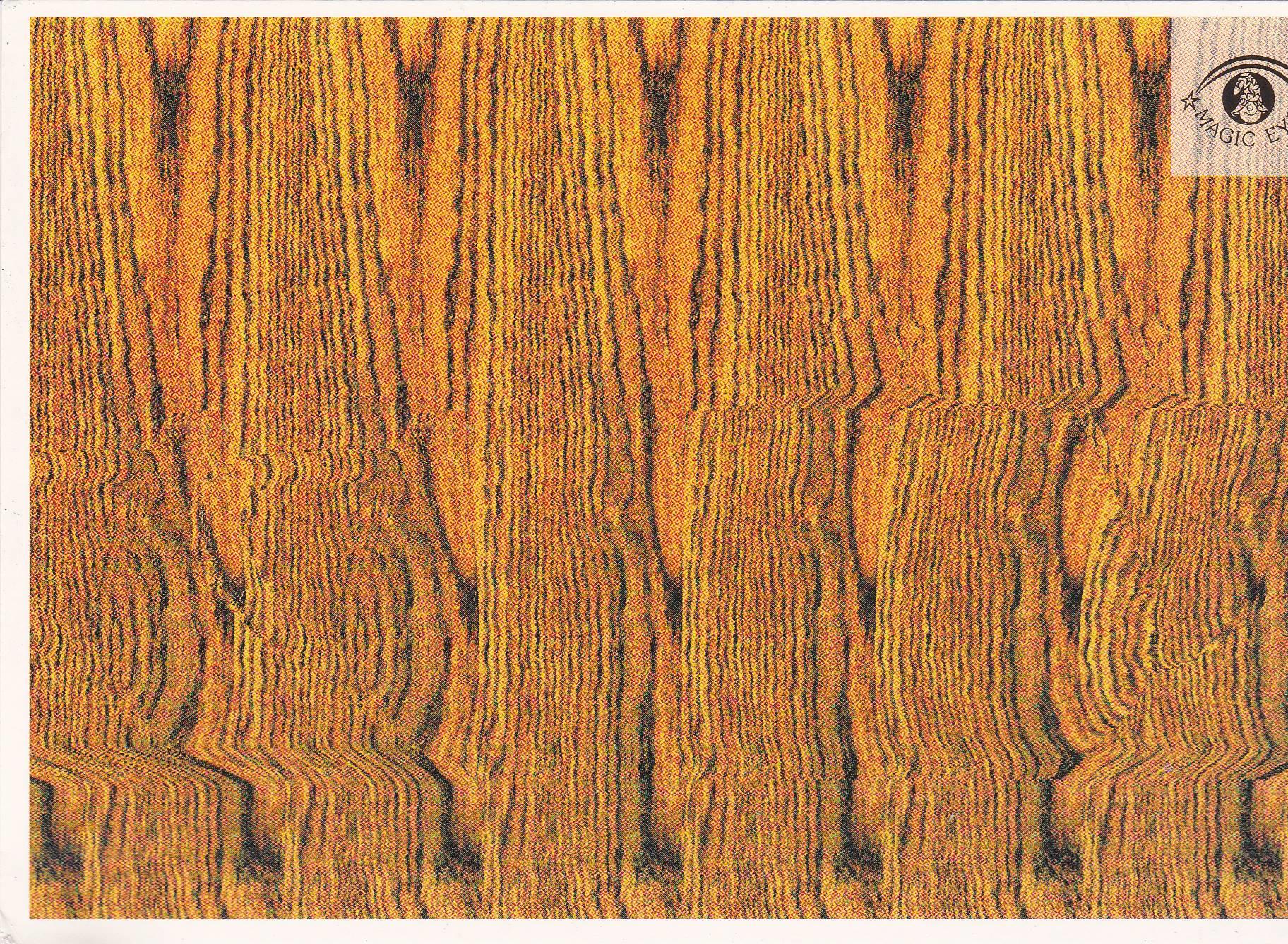 POSTAL B10923: MAGIC EYE: IMAGEN OCULTA. DIVERSOS ASPECTOS