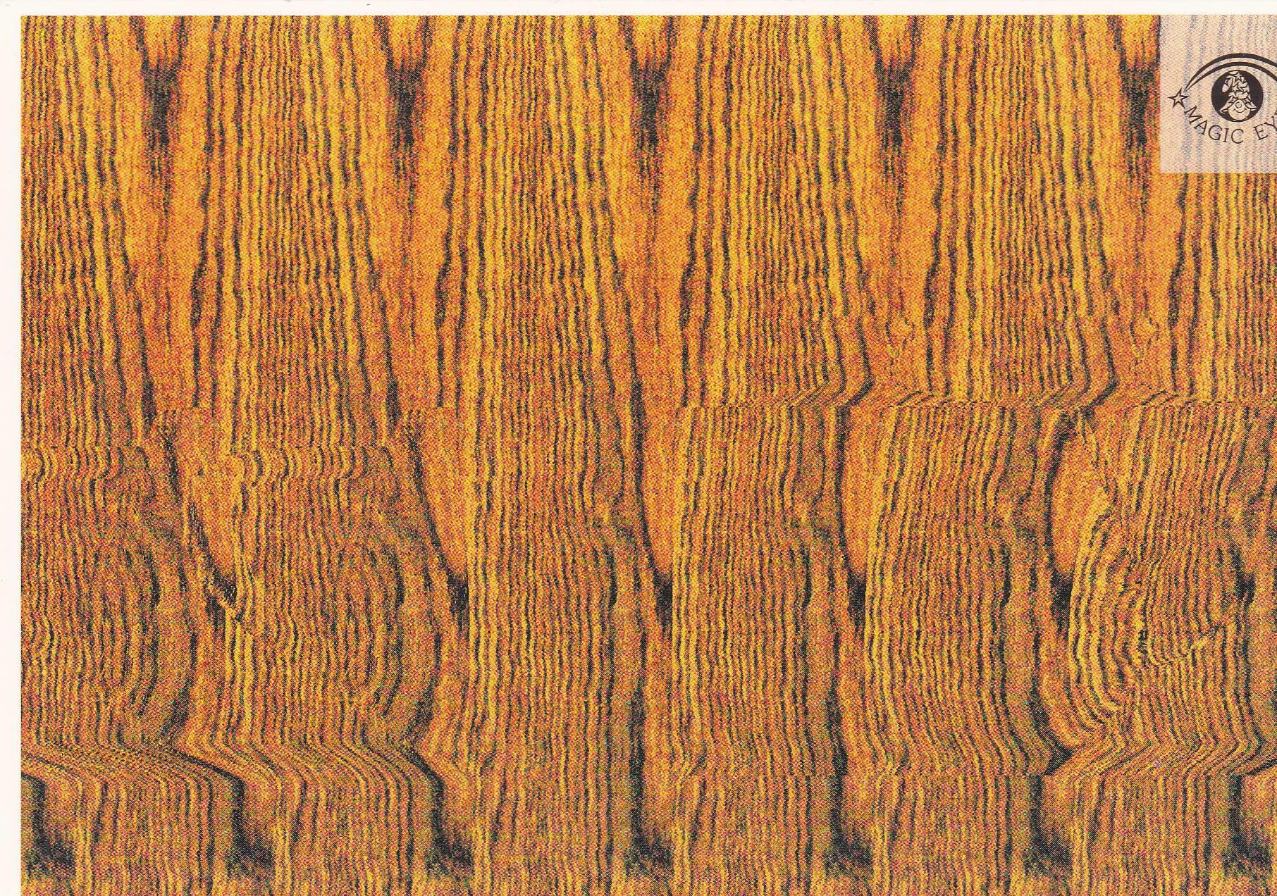 POSTAL B10924: MAGIC EYE: IMAGEN OCULTA. DIVERSOS ASPECTOS