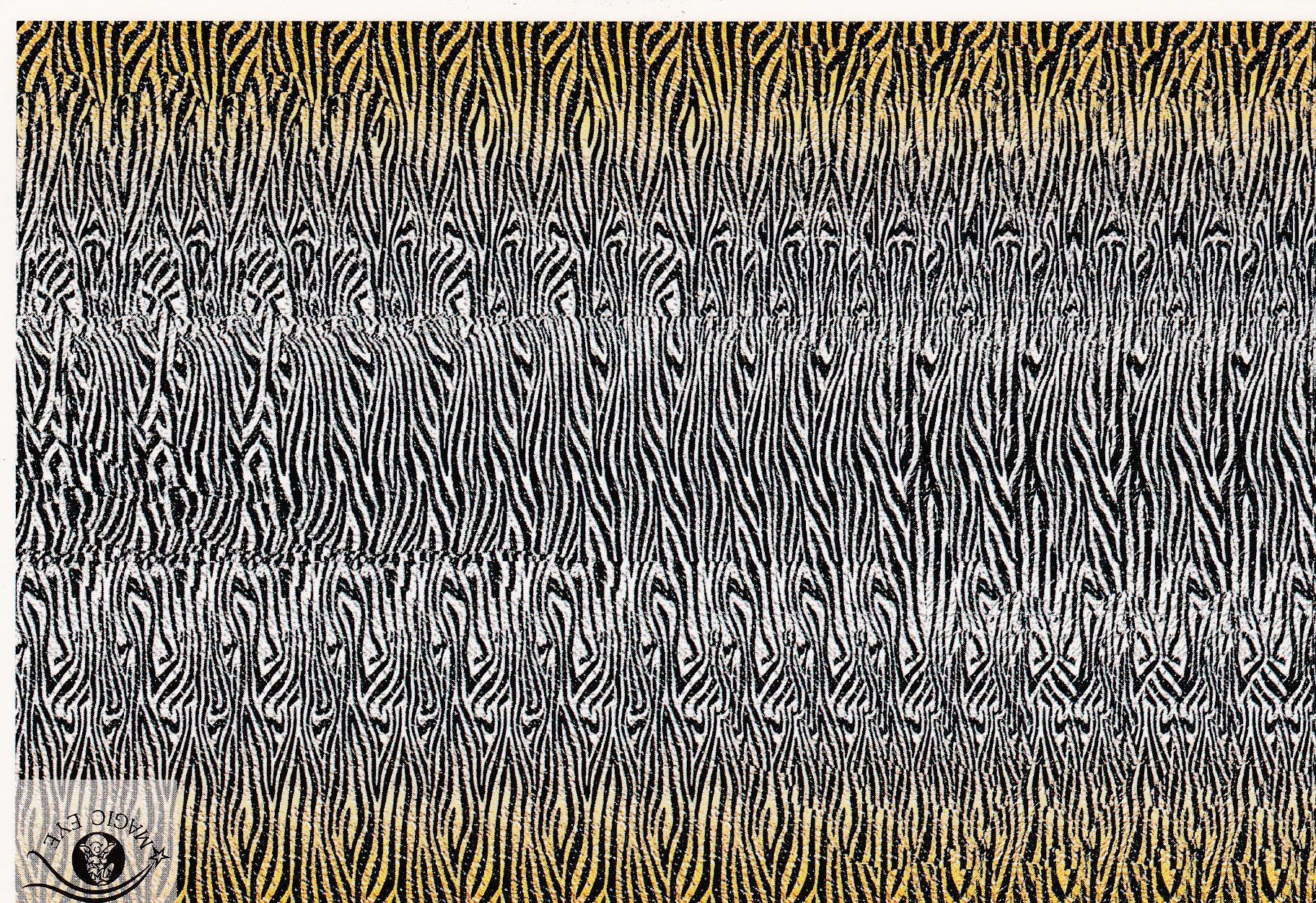 POSTAL B10926: MAGIC EYE: IMAGEN OCULTA. DIVERSOS ASPECTOS