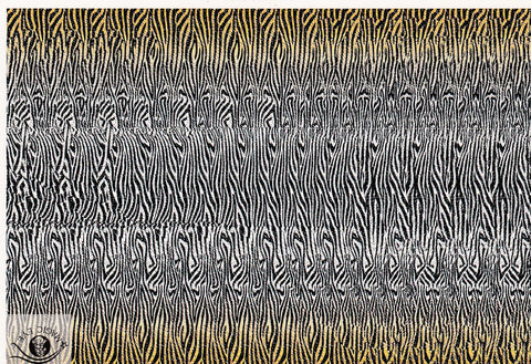 POSTAL B10926: MAGIC EYE: IMAGEN OCULTA. DIVERSOS ASPECTOS