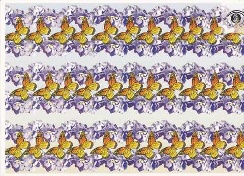 POSTAL B10931: MAGIC EYE: IMAGEN OCULTA. DIVERSOS ASPECTOS