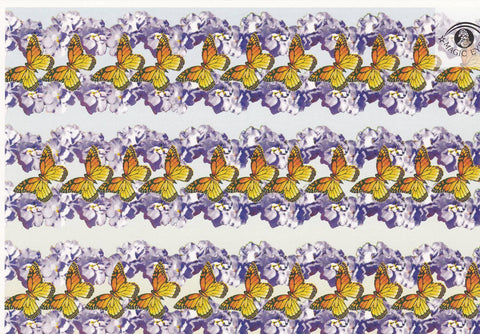 POSTAL B10932: MAGIC EYE: IMAGEN OCULTA. DIVERSOS ASPECTOS