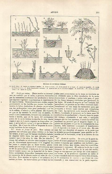 LAMINA ESPASA 31333: Acodos de diversas formas