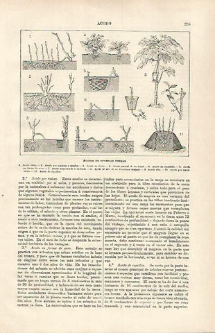 LAMINA ESPASA 31333: Acodos de diversas formas