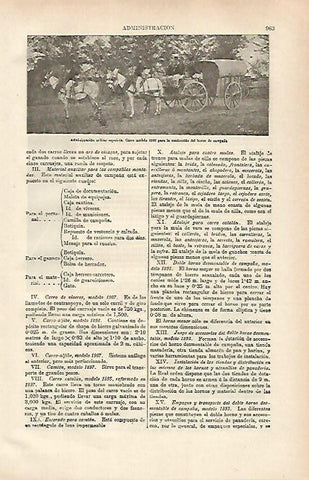 LAMINA ESPASA 31401: Carro 1893 del Ejercito de España