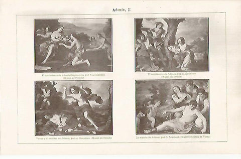 LAMINA ESPASA 31407: Adonis por Franceschini El Guercino y C. Schwarz