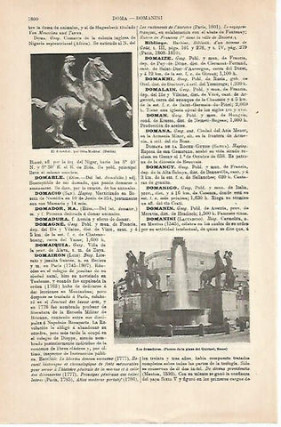 LAMINA ESPASA 31468: El domador por O. Richter