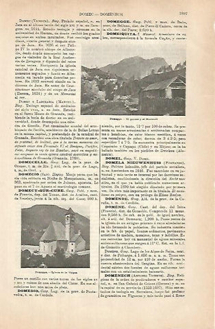 LAMINA ESPASA 31470: Puente e iglesia de Domegge Italia