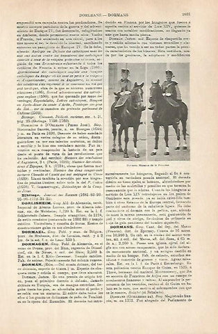 LAMINA ESPASA 31502: Husares de la Princesa 
