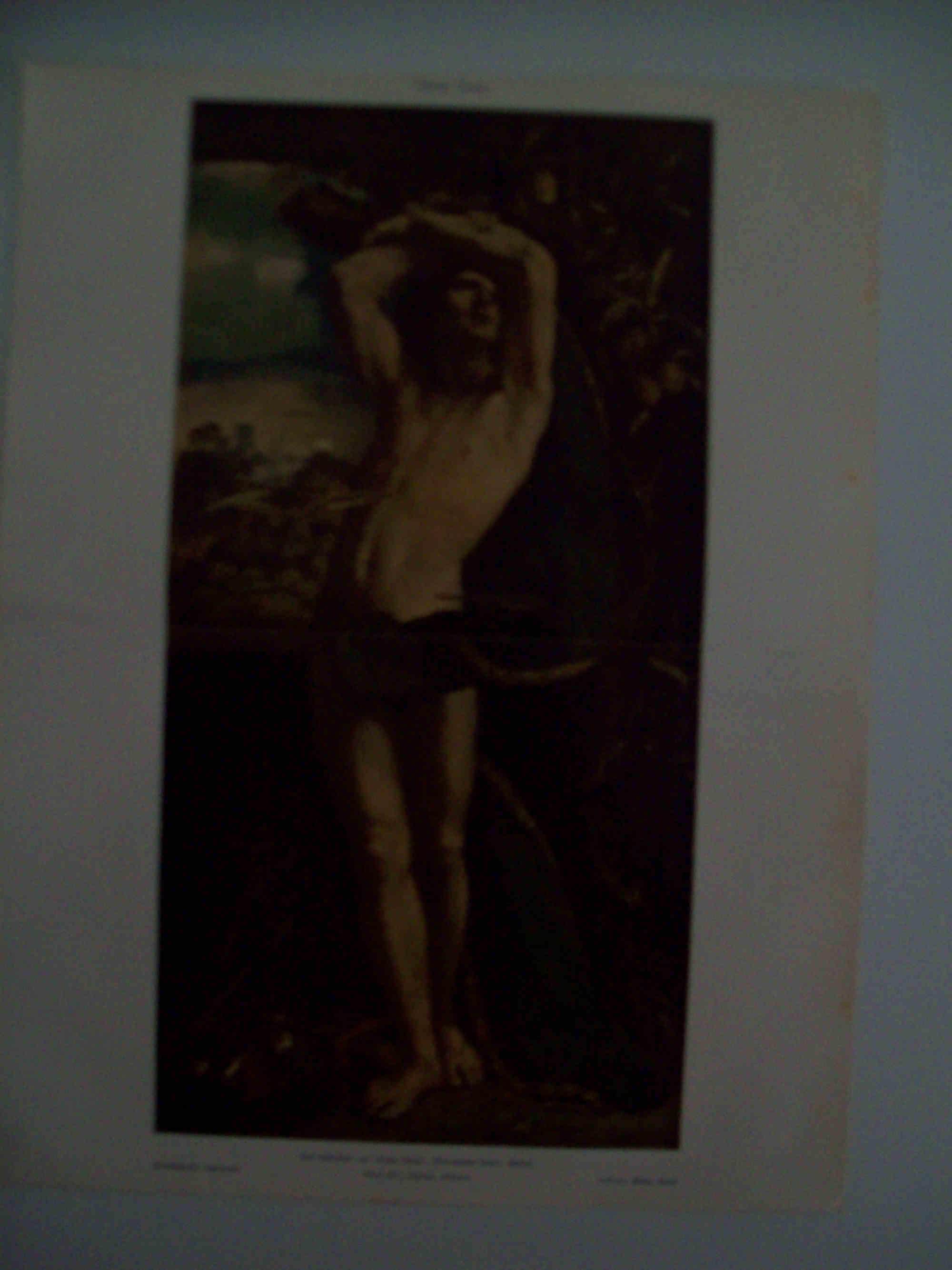 LAMINA ESPASA 31513: San Sebastian por Dosso Dossi