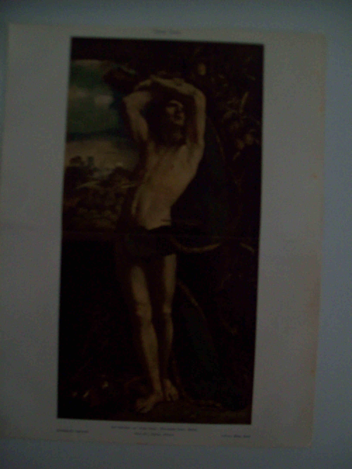 LAMINA ESPASA 31513: San Sebastian por Dosso Dossi