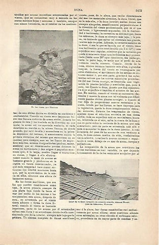 LAMINA ESPASA 31576: En las dunas por Shannon