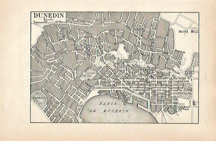 LAMINA ESPASA 31581: Plano de Dunedin Nueva Zelanda