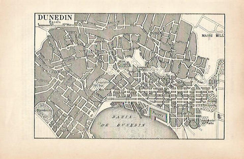 LAMINA ESPASA 31581: Plano de Dunedin Nueva Zelanda