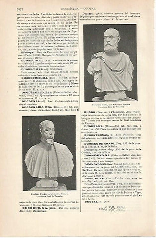 LAMINA ESPASA 31588: Bustos de Domingo Duodo y de Francisco Duodo